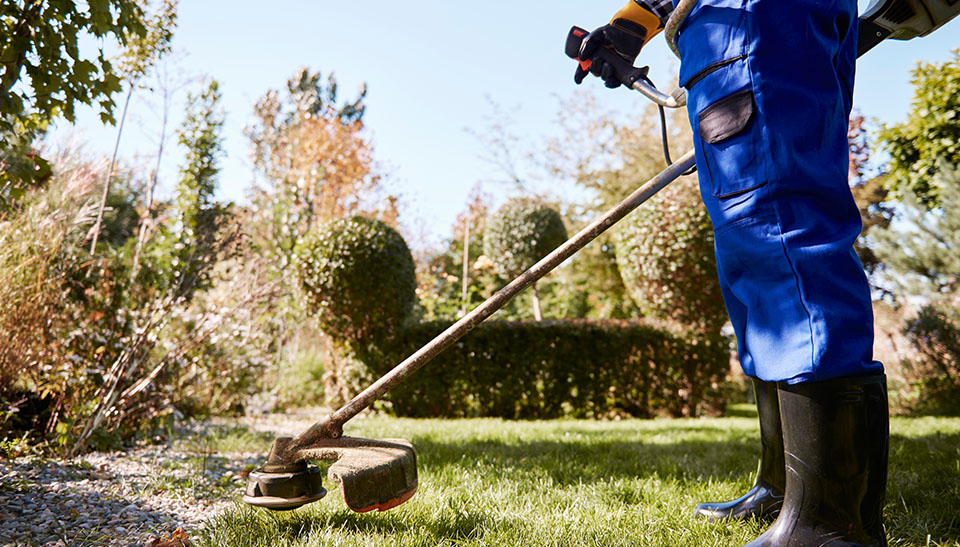 6Landscape Maintenance